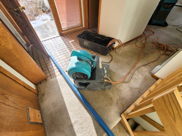 Best Local water damage restoration  in Red Bay, AL